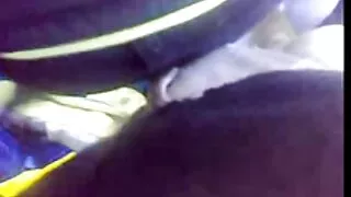 Spektaklis su kalėmis ir aktoriais.