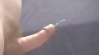 Mini Vamp atlieka standartą trenerio gaidys.
