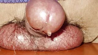 Pornstar rodo su promiscuous orgijos.