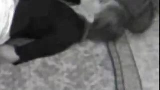 Gaidys padarė riteris duoti arčiau stepmom Dee Dee