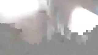Senelis fucks mergina miške.