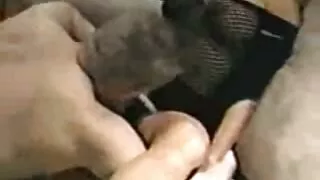 Kendra gauna pakliuvom sutuoktinis lovoje.